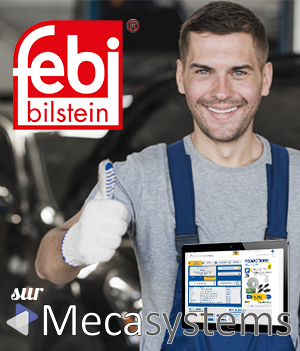 FEBI sur Mecasystems Flauraud