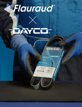 Meilleures solutions pour la distribution DAYCO